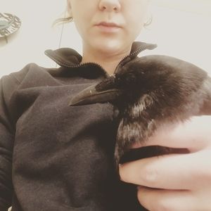 Meet your Posher, Tasia